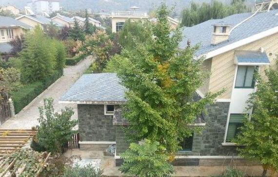 �S���ڄe��