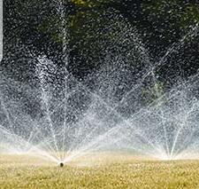 �����ˮ���ķN�����O�����